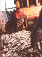 Pesca em Argetina