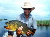 Pesca del dorado en el Parana