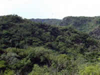 Area Natural Sierras de Guasayán 