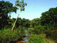 Reserva Estricta San Antonio