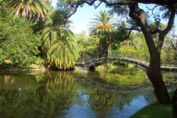 Bosque de Palermo