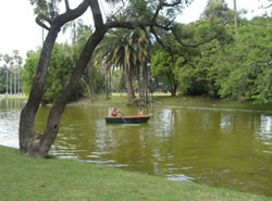 Bosques de Palermo
