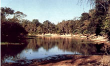 Reserva Natural Formosa