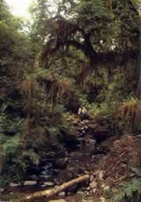 Parque Nacional Calilegua