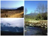 Parque Nacional El Rey