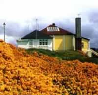 ISLA MALVINAS FLORA FAUNA isla malvinas flora fauna: