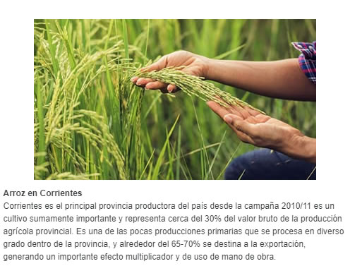 Arroz en Corrientes  Corrientes es el principal provincia productora del país desde la campaña 2010/11 es un cultivo sumamente importante y representa cerca del 30% del valor bruto de la producción agrícola provincial. Es una de las pocas producciones