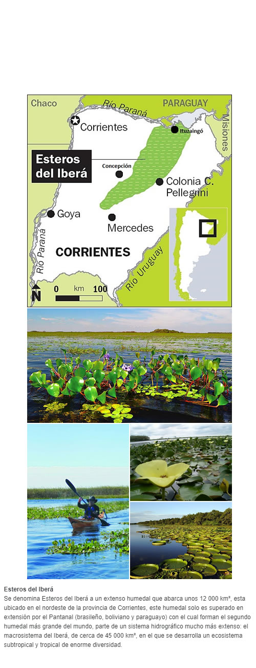 Esteros del Iberá  Se denomina Esteros del Iberá a un extenso humedal que abarca unos 12 000 km², esta ubicado en el nordeste de la provincia de Corrientes, este humedal solo es superado en extensión por el Pantanal (brasileño, boliviano y paraguayo)