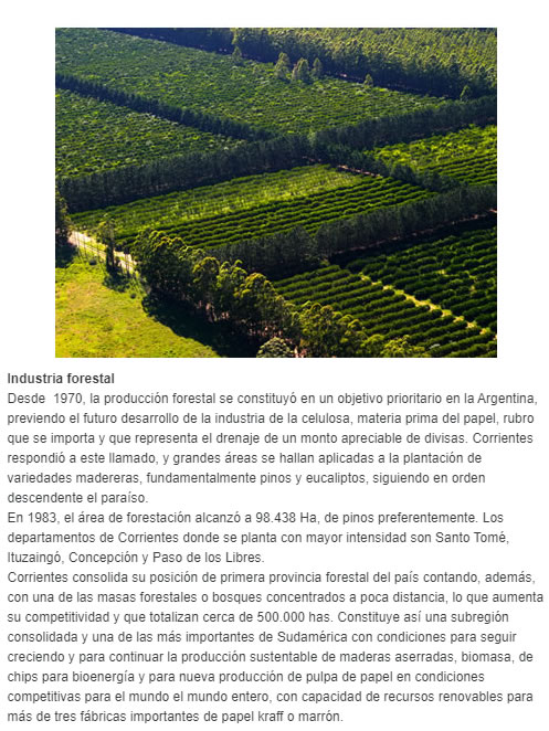 Industria forestal  Desde  1970, la producción forestal se constituyó en un objetivo prioritario en la Argentina, previendo el futuro desarrollo de la industria de la celulosa, materia prima del papel, rubro que se importa y que representa el drenaje de
