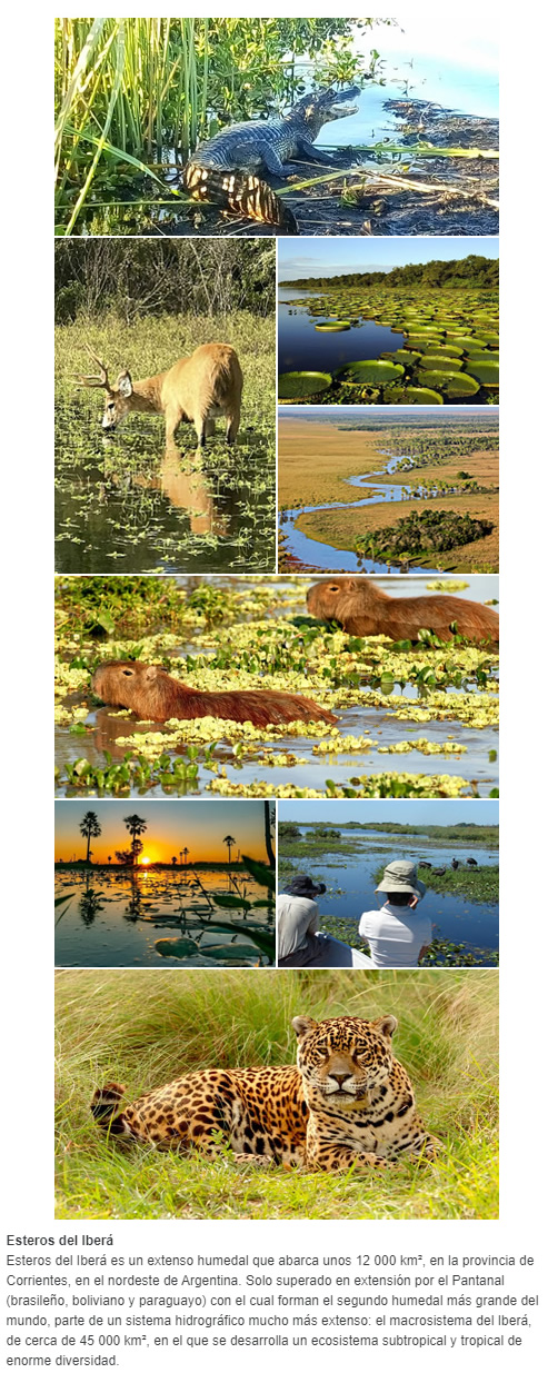 Esteros del Iberá Esteros del Iberá es un extenso humedal que abarca unos 12 000 km², en la provincia de Corrientes, en el nordeste de Argentina. Solo superado en extensión por el Pantanal (brasileño, boliviano y paraguayo) con el cual forman el segu