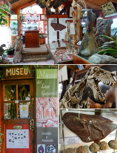 Museo de Geología y Paleontología “Dr. Rosendo Pascual”