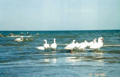 foto2.jpg