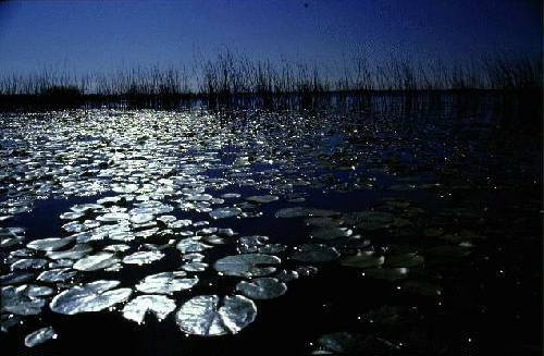 Parque Nacional Iber�