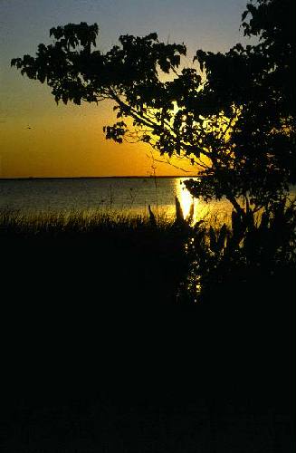 Parque Nacional Iber�