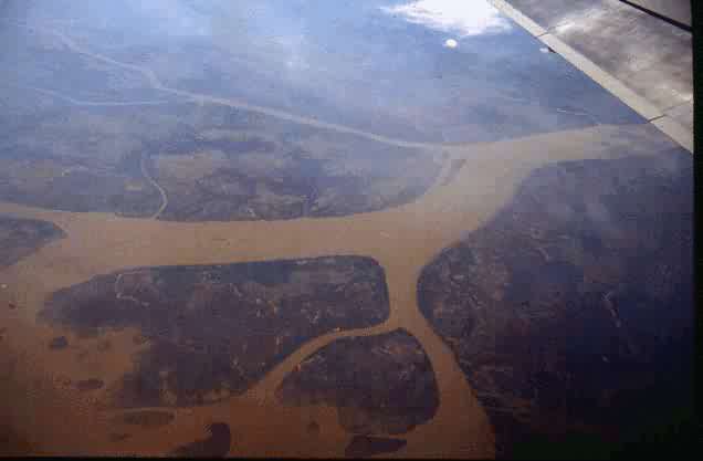 Area Natural Delta del Parana