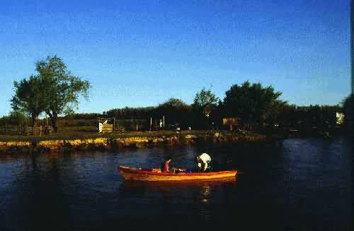 Area Natural Delta del Parana