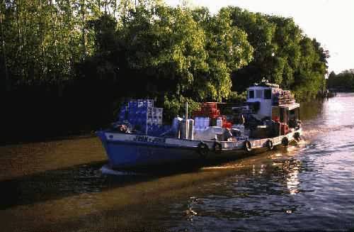 Area Natural Delta del Parana