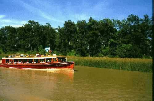 Area Natural Delta del Parana