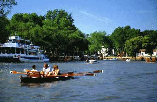 Area Natural Delta del Parana