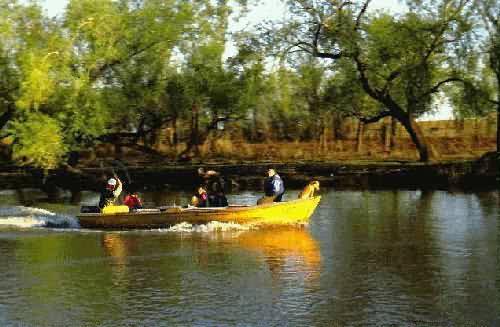 Area Natural Delta del Parana