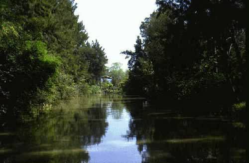 Area Natural Delta del Parana