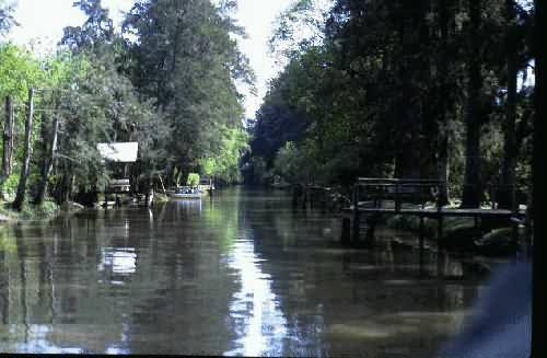 Area Natural Delta del Parana