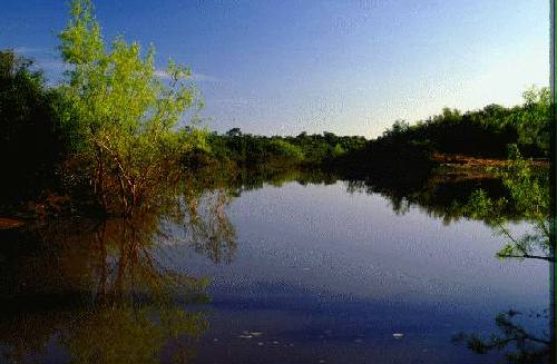 Parque Nacional El Palmar