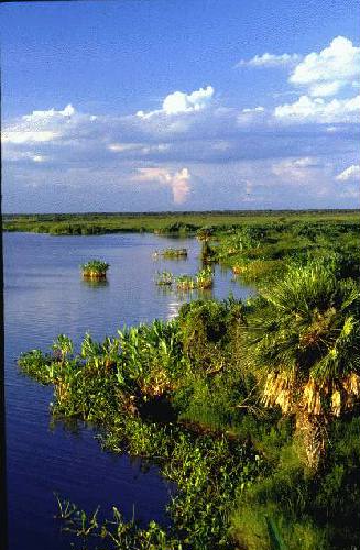 Parque Nacional R�o Pilcomayo