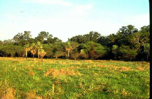 Parque Nacional R�o Pilcomayo