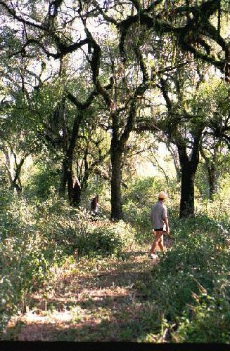 Parque Nacional R�o Pilcomayo