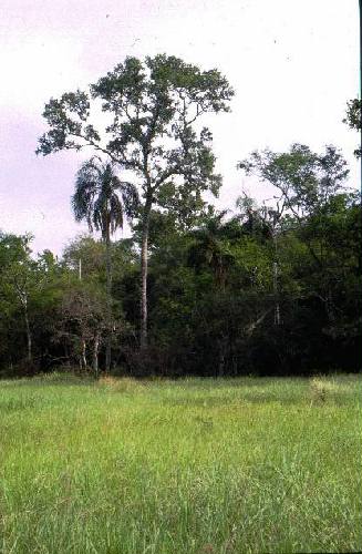 Parque Nacional R�o Pilcomayo