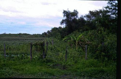 Parque Nacional R�o Pilcomayo