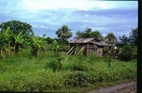 Parque Nacional R�o Pilcomayo