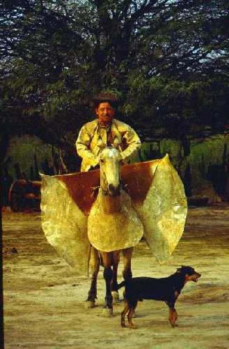 Reserva Nacional Formosa