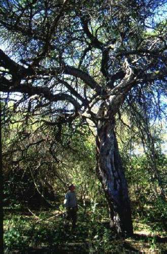 Reserva Nacional Formosa