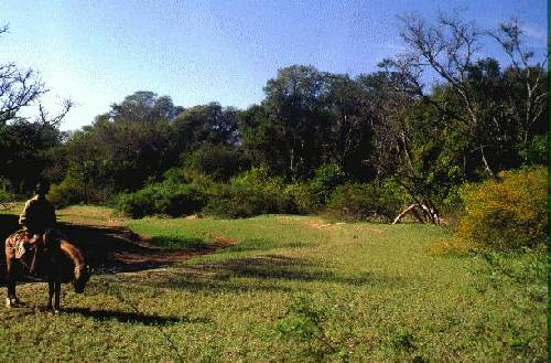 Reserva Nacional Formosa