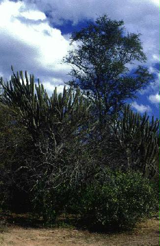 Reserva Nacional Formosa