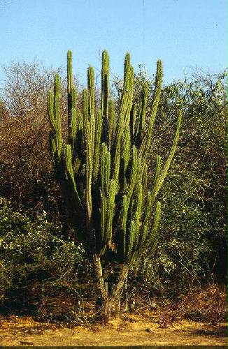 Reserva Nacional Formosa