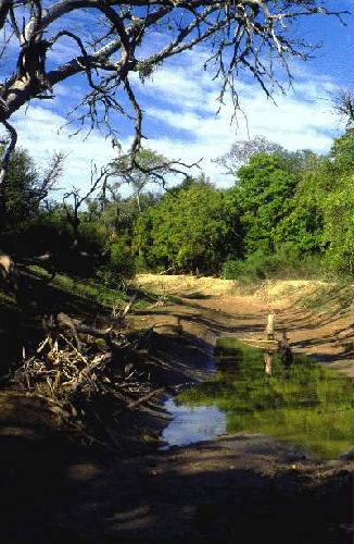 Reserva Nacional Formosa