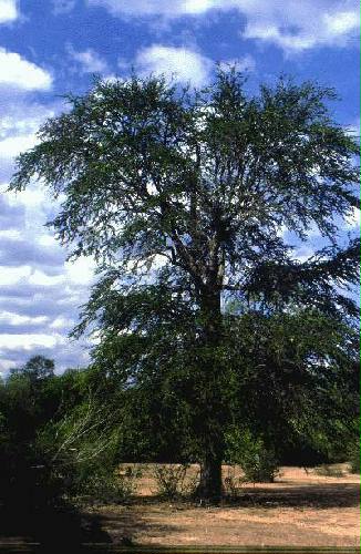 Reserva Nacional Formosa