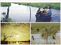 Parque Nacional Iberá