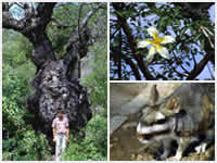 Area Natural Sierras de Guasayán 