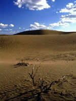 Medanos Grandes