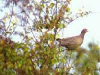 Reserva Ribera Norte