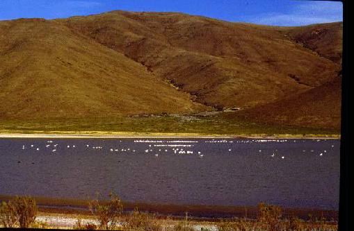 Monumento Natural Laguna de los Pozuelos