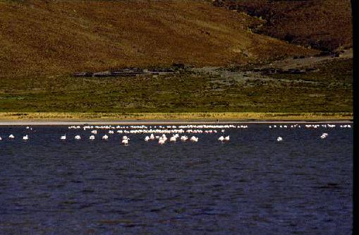 Monumento Natural Laguna de los Pozuelos