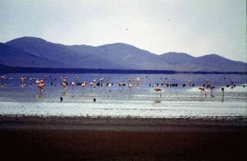 Monumento Natural Laguna de los Pozuelos