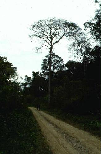 Parque Nacional Calilegua