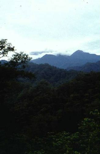 Parque Nacional Calilegua