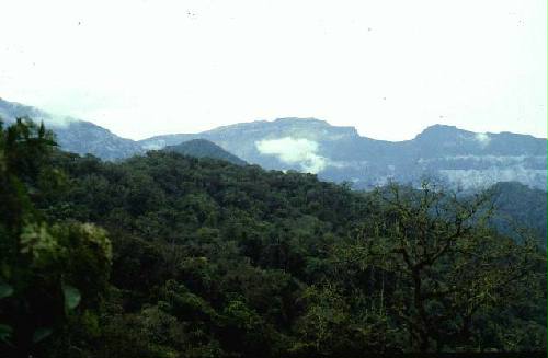 Parque Nacional Calilegua